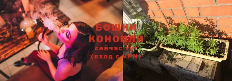 Шишки марихуана White Widow  Новокузнецк 